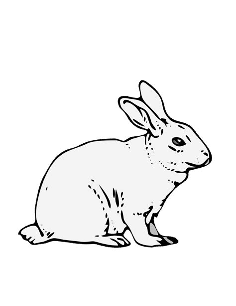 Free Printable Rabbit Coloring Pages For Kids | Bunny coloring pages ...