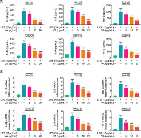 Vanillic Acid Alleviates Lipopolysaccharides Induced Endoplasmic