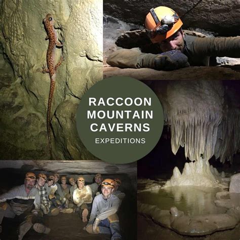 Home - Raccoon Mountain Caverns