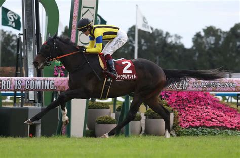 デイリー杯2歳sを制したジャンタルマンタル、朝日杯fs参戦 スポニチ競馬web