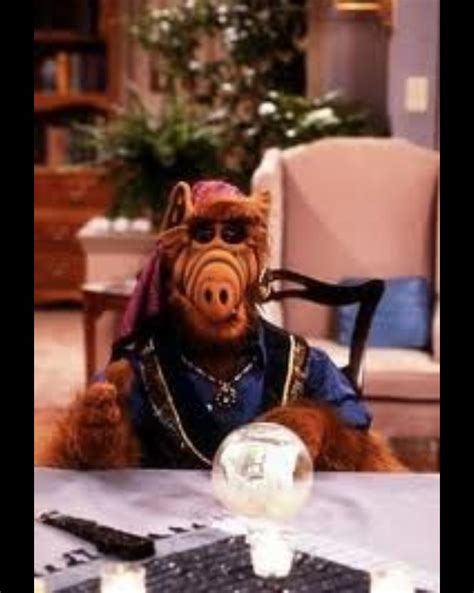 170 Best Alf Images On Pinterest Childhood Memories My Childhood And