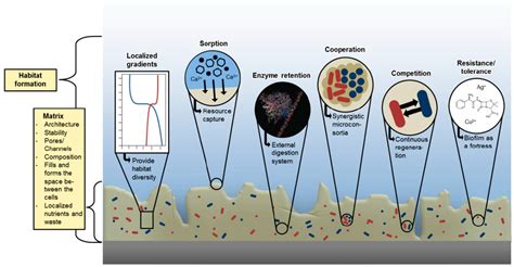 Applied Sciences Free Full Text Treatment Of Biofilm Communities