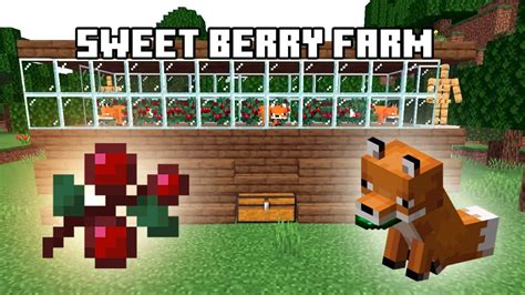 Minecraft Sweet Berry Farm Fully Automatic 117java And Bedrock