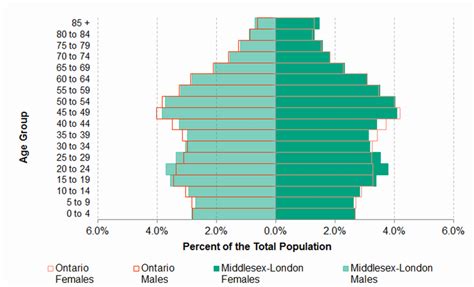 Figure 1 6 Population Pyramid By Sex And Five Year Age Groups Mlhu Health Status Resource