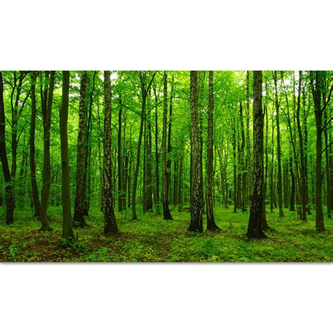 Forest Backdrop Decorations