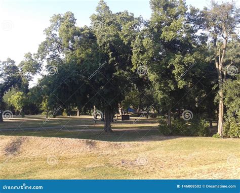 Rboles Hermosos En Parque De La Ciudad De Budapest Foto De Archivo