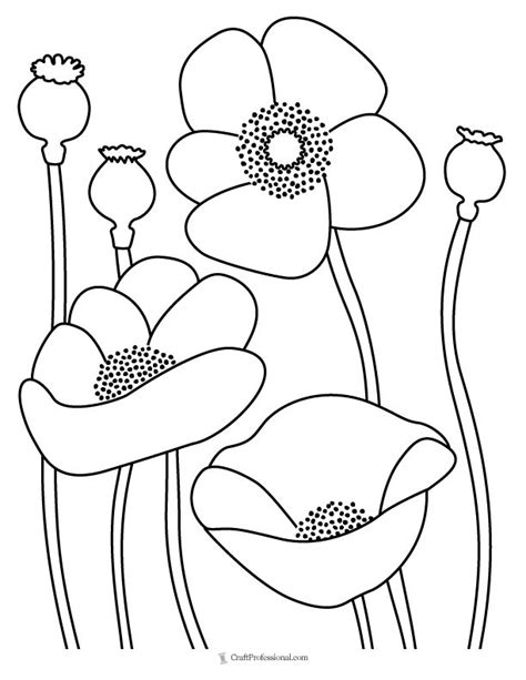 30 Flower Coloring Pages Poppy Coloring Page Flower Coloring Pages