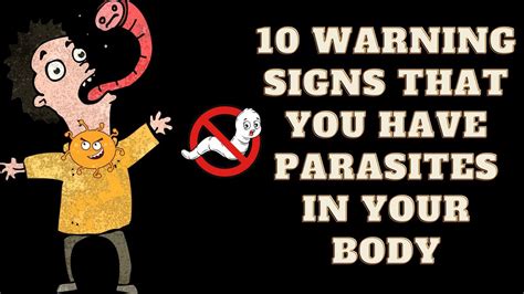 Dont Ignore These Early Signs That Your Body May Have Parasites Youtube