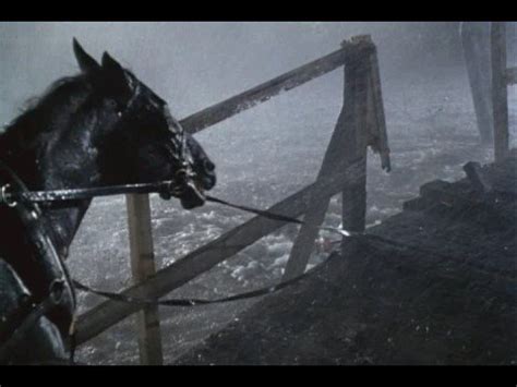 Original Black Beauty Trailer - YouTube