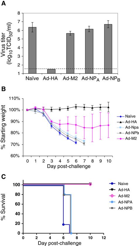 A Virus Titers B Weight Loss And C Mortality Of 10LD50 Instilled