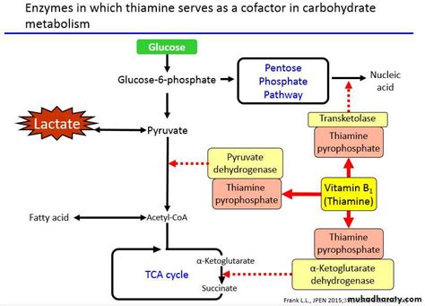 Fat Soluble Vitamins Pptx D Dhyiaa Muhadharaty