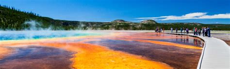 Fun Facts About Yellowstone National Park | Wildlife Facts