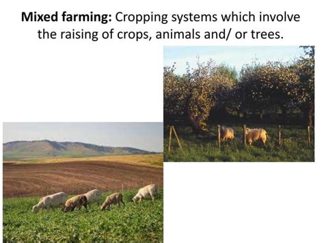 cropping system types | PPT