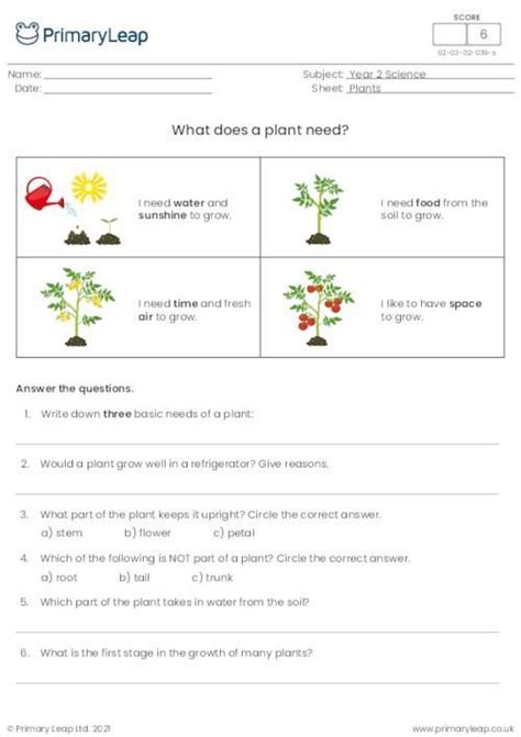 What Does A Plant Need Plant Needs Plants Worksheets Facts About