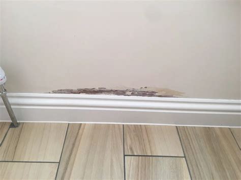 Damp Plaster Diynot Forums