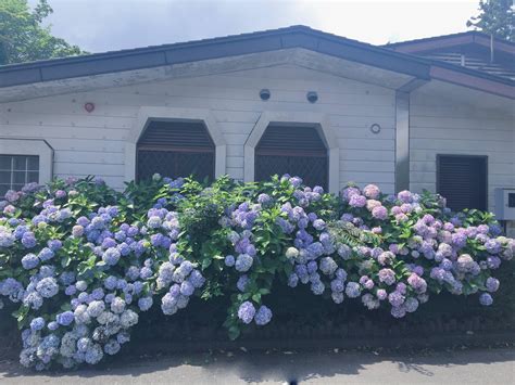 Best Roadside Images On Pholder Battlemaps Abandoned Porn And Earth Porn