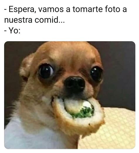 Ahora Todo Tiene Sentido Memes