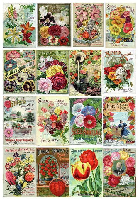 Vintage Flower Seed Packets 1 Painting by Peggy Collins - Pixels