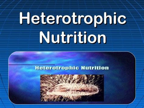 Heterotrophic nutrition