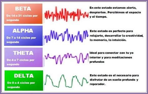 Las Ondas Cerebrales Beta Alpha Theta Y Delta Son Grupos De Ondas Que