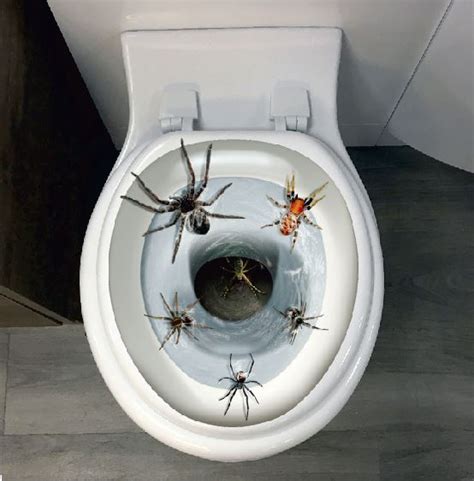 Spider Toilet Seat Cover – Velcromag