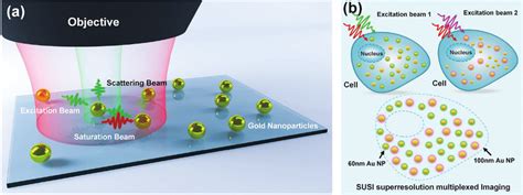 Schematic Illustration Of The Multiplexed Fluorescence Free