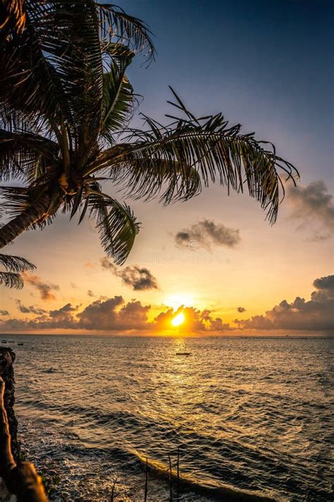 Nascer Do Sol No Mar Praia Palmeiras Em Mombasa Kenya Oceano