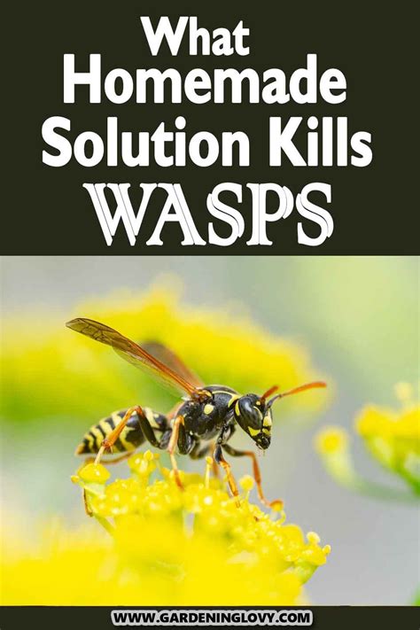 How To Get Rid Of Wasps From Your Yard 11 Organic Ways Artofit