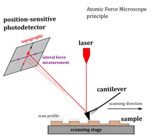 AFM scanning modes – MAX IV