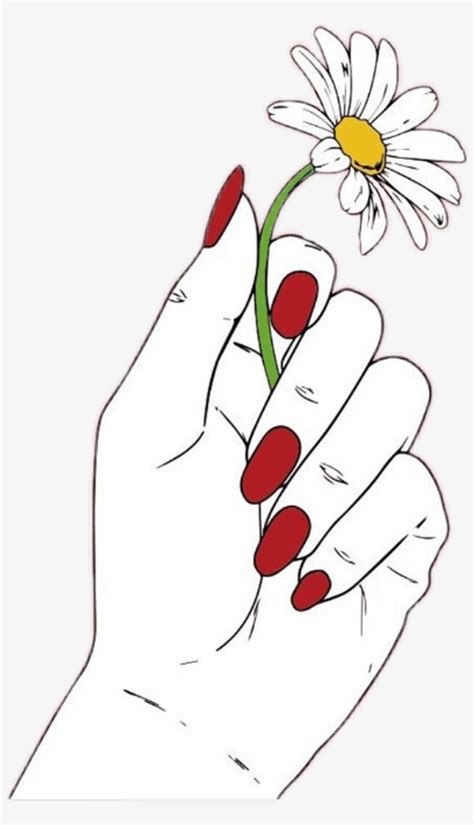 Download #daisy #flower #red #hand #nails #white #draw #tumblr ...