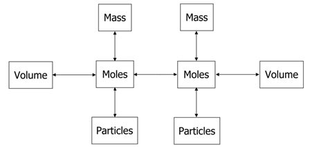 Mole Map Diagram Quizlet