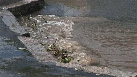 Water Enters A Storm Sewer Clogged With Stock Video Pond