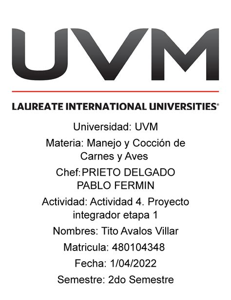 Documento Investigacion Universidad Uvm Materia Manejo Y Cocci N De