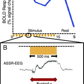 Relationships Between Fmri Signals And Electrophysiological Responses