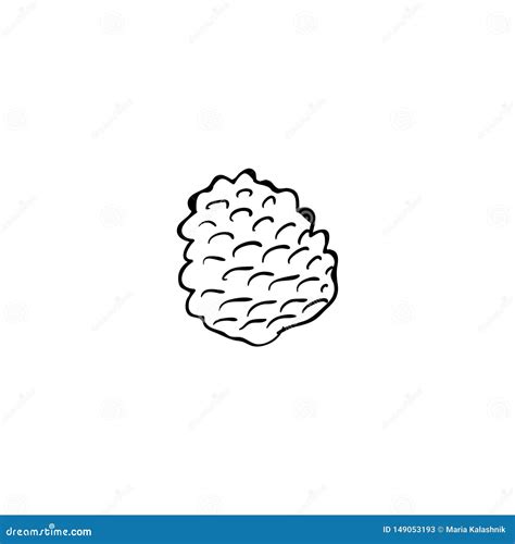 Pinecone Icon Vector Pine Stock Illustration Illustration Of