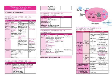 FCO TEO S14 Resumen Goodman Gilman Las bases farmacológicas de la