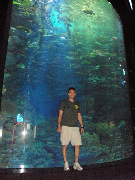 The Busan Aquarium in Haeundae Beach | Koreabridge