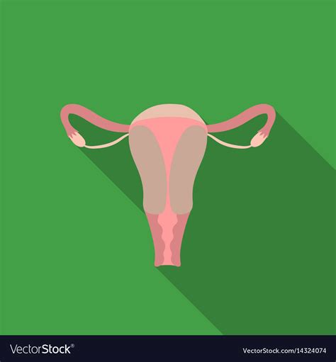 Uterus Icon In Flat Style Isolated On White Vector Image