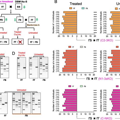 Genetic Linkage Analysis Of Cry1Ac Resistance In The Polygenic Knockout