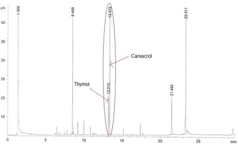 Chromatogram showing the relative prescence of thymol and carvacrol in ... 