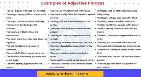 50+ Examples of Adjective Phrases - Word Coach