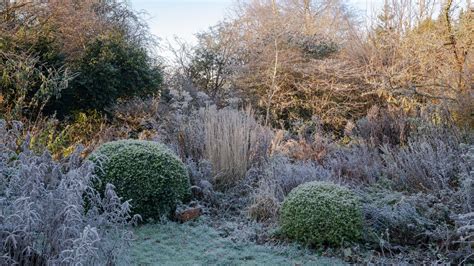 The Best Plant Covers For Winter To Protect From Frost Ideal Home