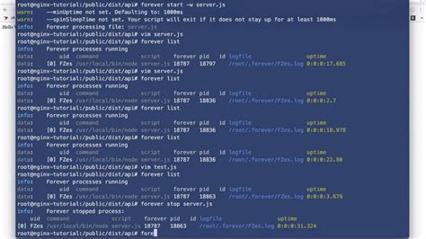 How To Manage Your Node Js Servers Using Forever Youtube