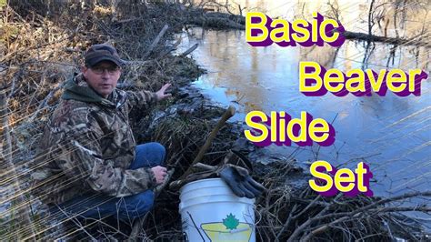 Basic Beaver Trapping Slide Set Youtube