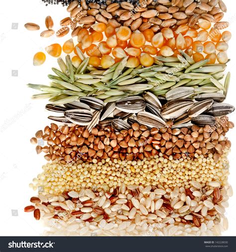 Cereal Grains Seeds Rye Wheat Barley Stock Photo 142228030 Shutterstock