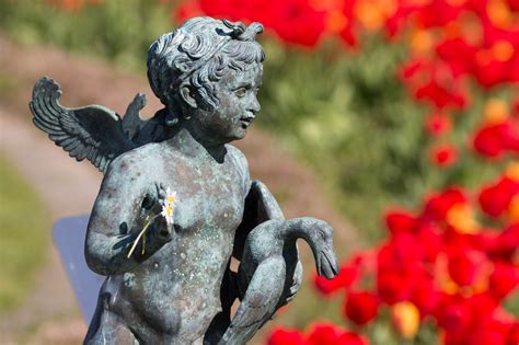 Papel de parede escultura estátua monumento flor pássaro tulipa