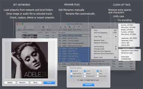 MP4 / M4A Format Customization in Audio Converters for Mac OS X - Amvidia