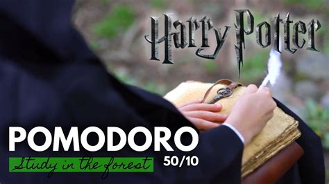 Pomodoro Study Session Harry Potter Study Session Writing Forest