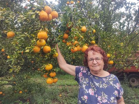 Produtoras Rurais Falam Sobre Desafios E Orgulho De Trabalhar No Campo