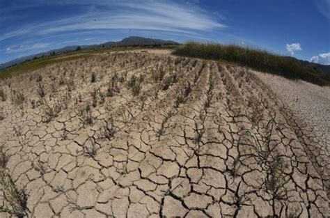 Programa Nacional Contra la Sequía instrumento que permite asegurar la